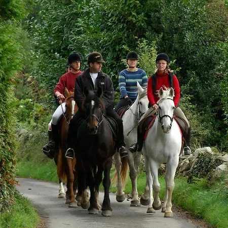 Slieve Aughty Centre Jaktstuga Loughrea
