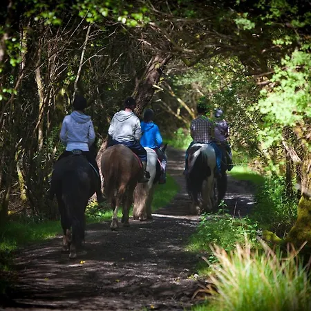 Slieve Aughty Centre Jaktstuga *